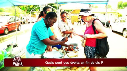 ATPA 05 12 17 DROITS FIN DE VIE JACQUELINE RENIA OK