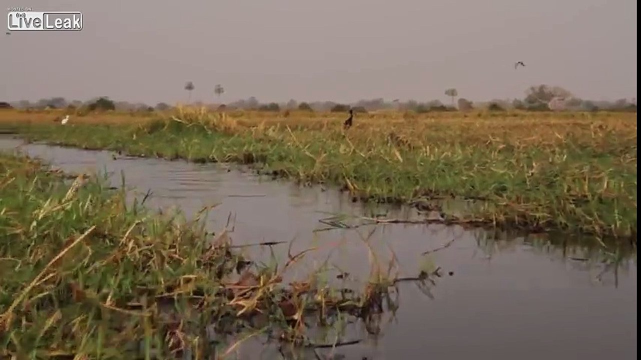 They're Gonna Need a Bigger Boat!