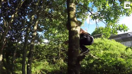 Real-life Tarzan swings, flips, and traverses from trees with seamless fluidity in incredible ‘rural parkour’ display