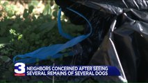 Neighbors Suspect Dog Fighting Ring After Finding Several Dead Dogs