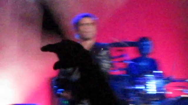 Muse - Supermassive Black Hole, Oracle Arena, Not So Silent Night, Oakland, CA, USA 12/11/2009
