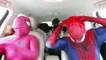 Pink Spidergirl & Spiderman & Venom Dancing in the Car! Superheroes Funny Movie in Real Life! | Superheroes | Spiderman | Superman | Frozen Elsa | Joker