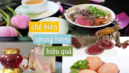 [ NhungHuouShop.com] Cách chế biến nhung hươu hiệu quả.