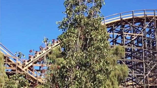 Top 15 Favorite Woodies