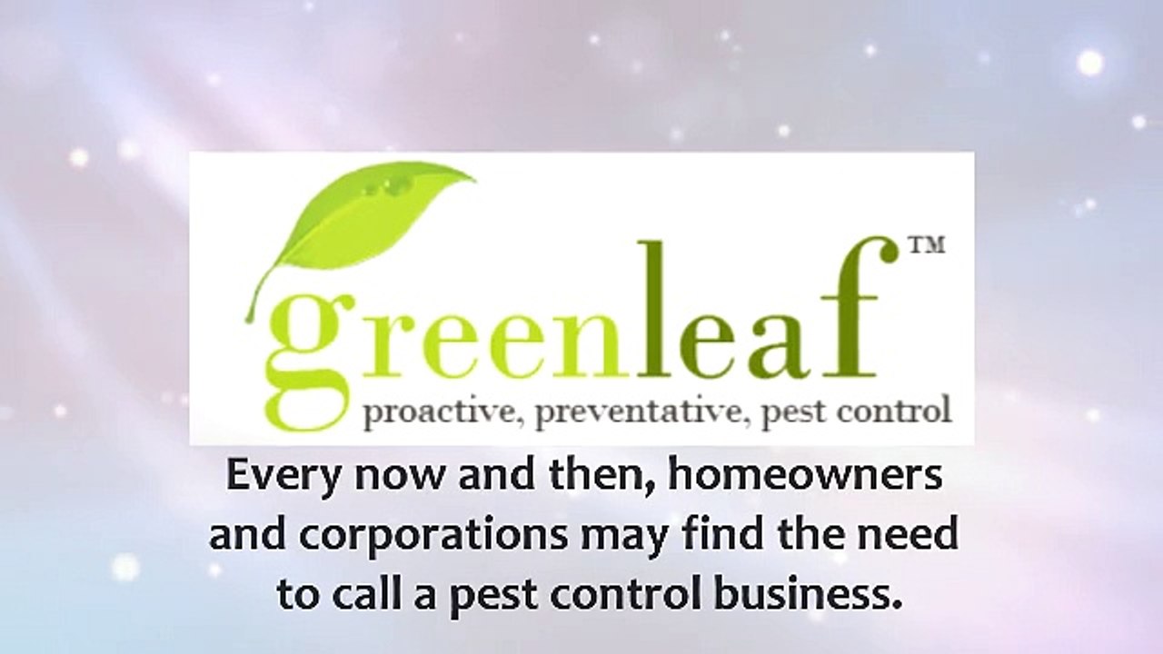 Best Pest Control Mississauga - Greenleafpestcontrol.com