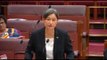 Australian Senator's Rainbow Scarf Angers Liberal Member During Same-Sex Marriage Debate