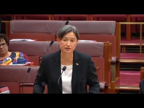 Australian Senator's Rainbow Scarf Angers Liberal Member During Same-Sex Marriage Debate