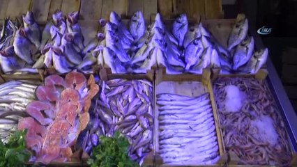 Karadeniz Hamsisi Bir Haftada Yüzde 50 Zamlandı