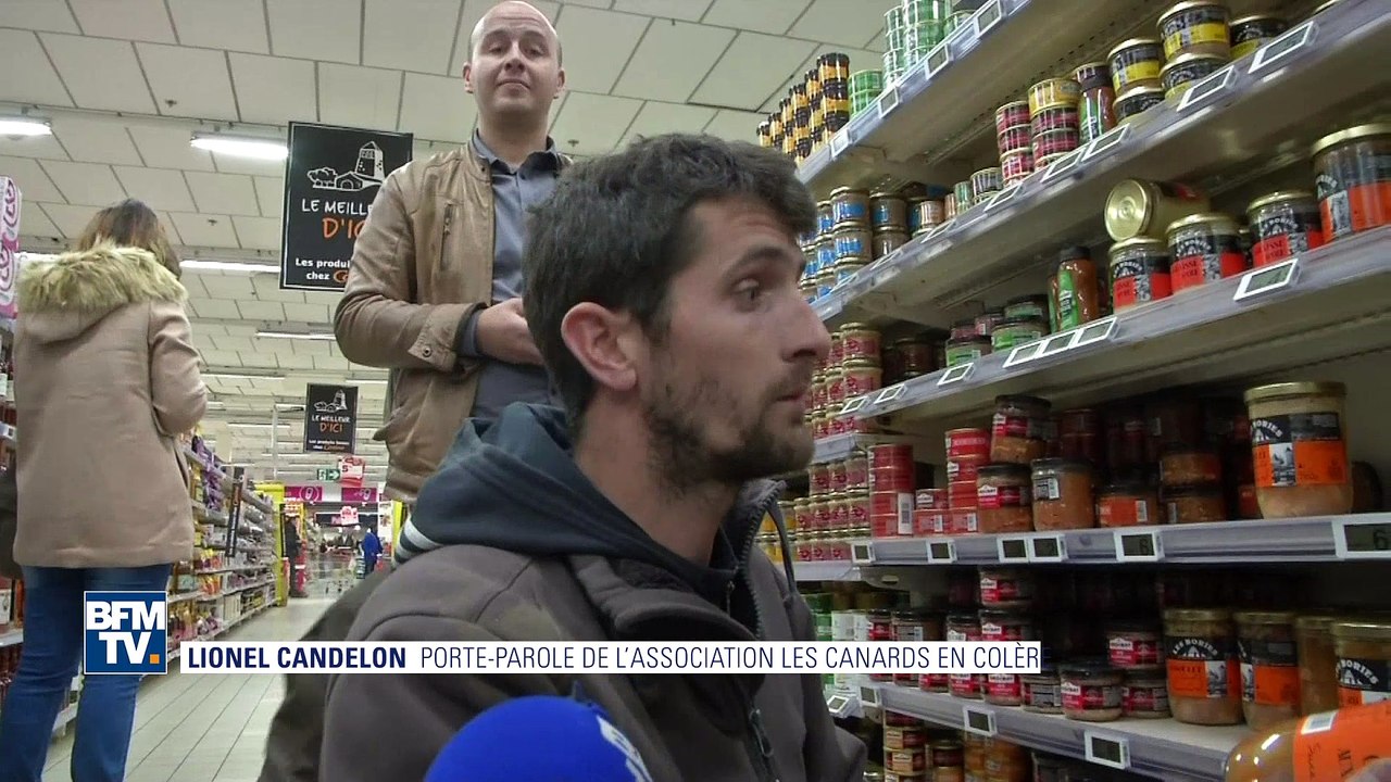 Action coup de poing des éleveurs de canard en colère contre le foie gras bulgare