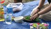 How to Grill Oysters - Amazing Video Grilling Live Oyster Clams Scallops Cooking Sea Shells