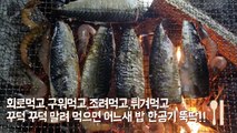 이것만 알면 삼치낚시 끝~!!!