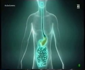 Chile rojo picante contra el dolor de estomago