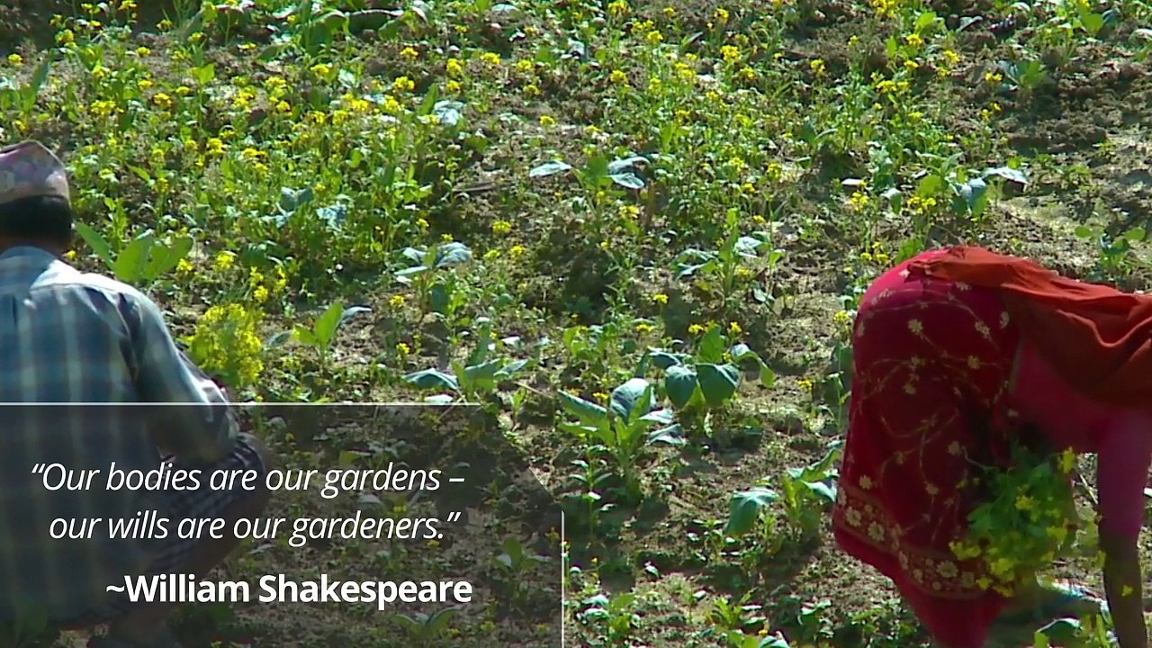 Cryptocurrency Platform for Nutrition