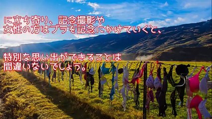 【衝撃】【感動】ブラジャーだらけのフェンス【世界は広い】