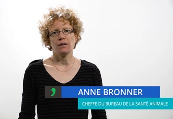 Biosécurité : comment protéger les élevages ?