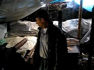 Video BACILO RESTELICA