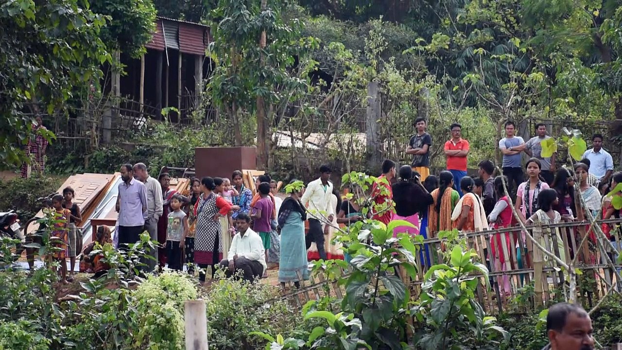 Inde: des éléphants utilisés comme engins de chantier