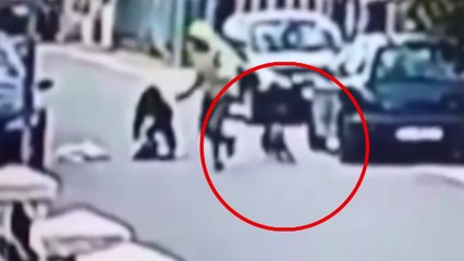 도둑 쫓은 개, 알고 보니 '은혜 갚은 개'?! / YTN