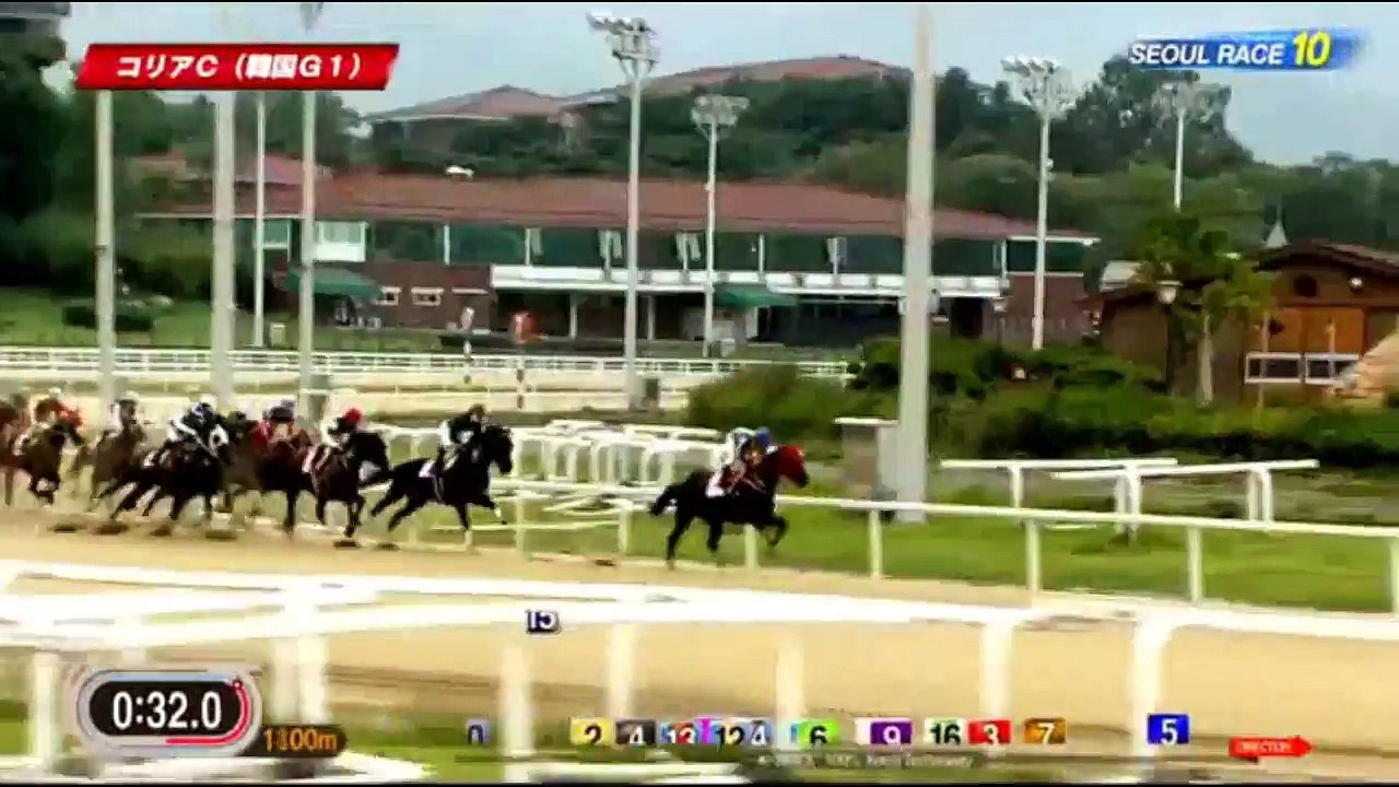 【日本vs韓国】2016年コリアカップ　クリソライト【競馬】