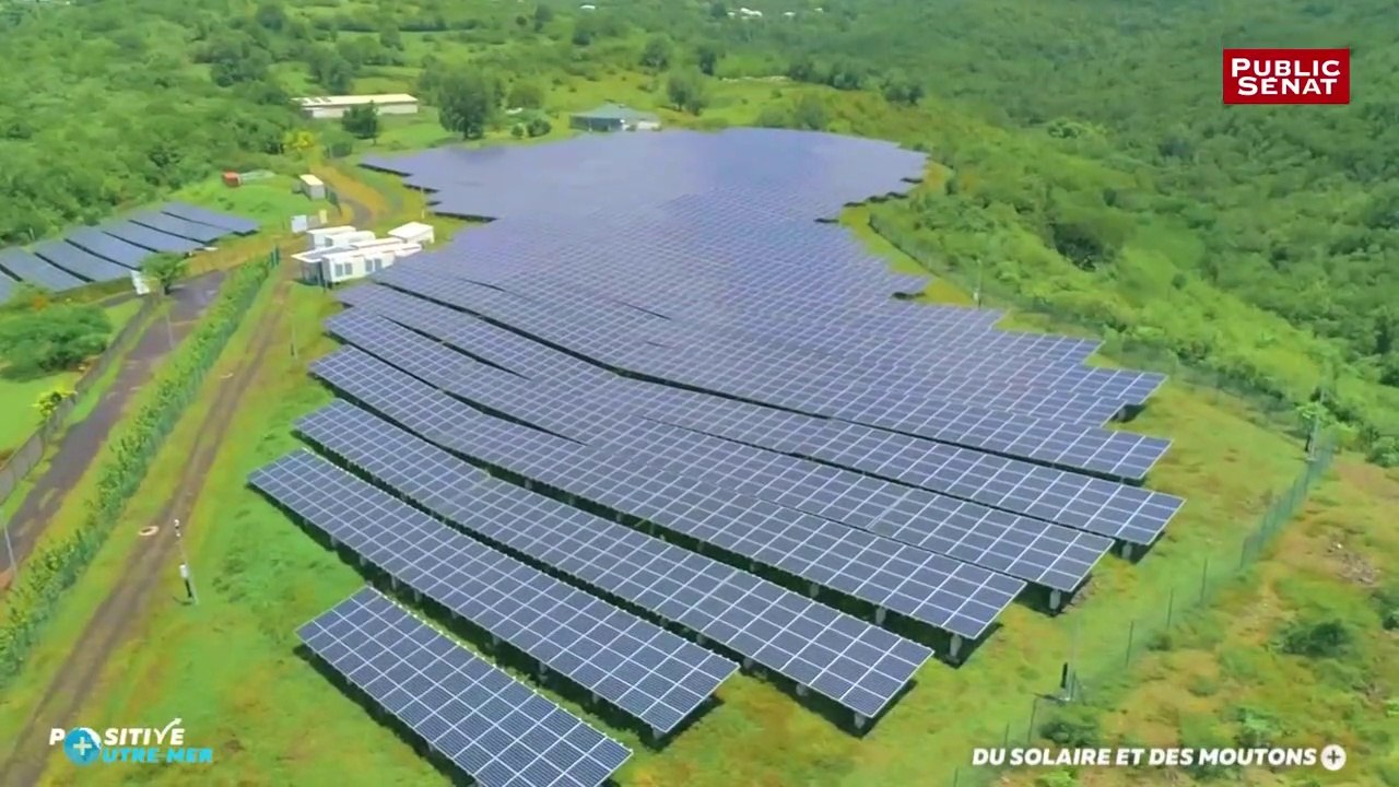 Du solaire et des moutons - Positive Outre-mer (29/11/2017)