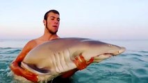 Un homme sort un requin de l'eau pour le tenir dans ses bras