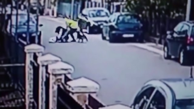 Un chien errant protège une femme lors d'un vol à l'arraché