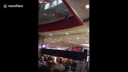 Man uses box catches cat falling from first floor in mall
