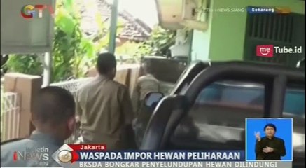 Waspada Ancaman Penyakit Menular dari Hewan Impor