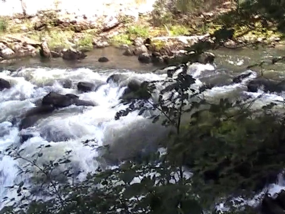 Saut du Doubs 2010 (4)