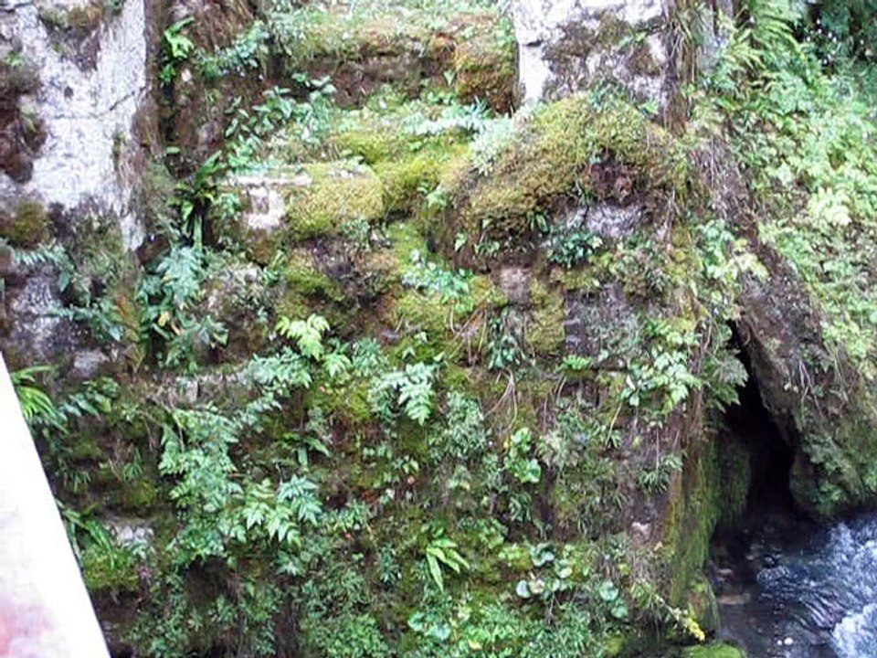 Source de la Loue-2010 (2)