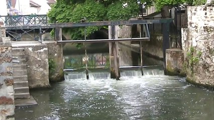 Crécy la Chapelle-2009 (1)