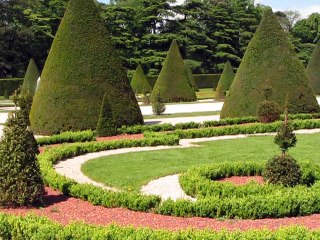 Parc de Sceaux-Parterre (1)