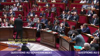 Question au Gouvernement : écriture inclusive