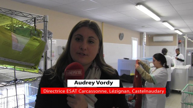 Travailleurs handicapés : l'Esat Jules Fil à la pointe de l'innovation