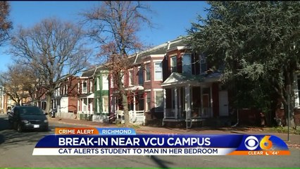 Cat Alerts College Student to Intruder Inside Her Bedroom