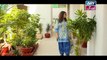 Haya Kay Rang Episode 195 in High Quality on Ary Zindagi 29th November 2017