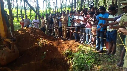 Baby Elephant Rescued from Mud Hole