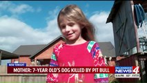 Family Says Neighbor's Pit Bull Killed Their Small Dog in Front of Child