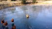 Des poules et un chat se cherchent sur la glace d'un lac gelé !