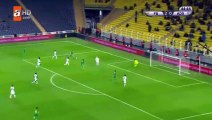 Hasan Ali Kaldirim Goal HD - Fenerbahce 3-0 Adana Demirspor 29.11.2017