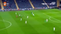 Hasan Ali Kaldirim Goal HD - Fenerbahcet3-0tAdana Demirspor 29.11.2017