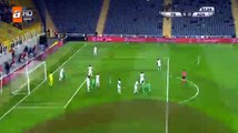 Goal HD -Fenerbahcet4-0tAdana Demirspor 29.11.2017