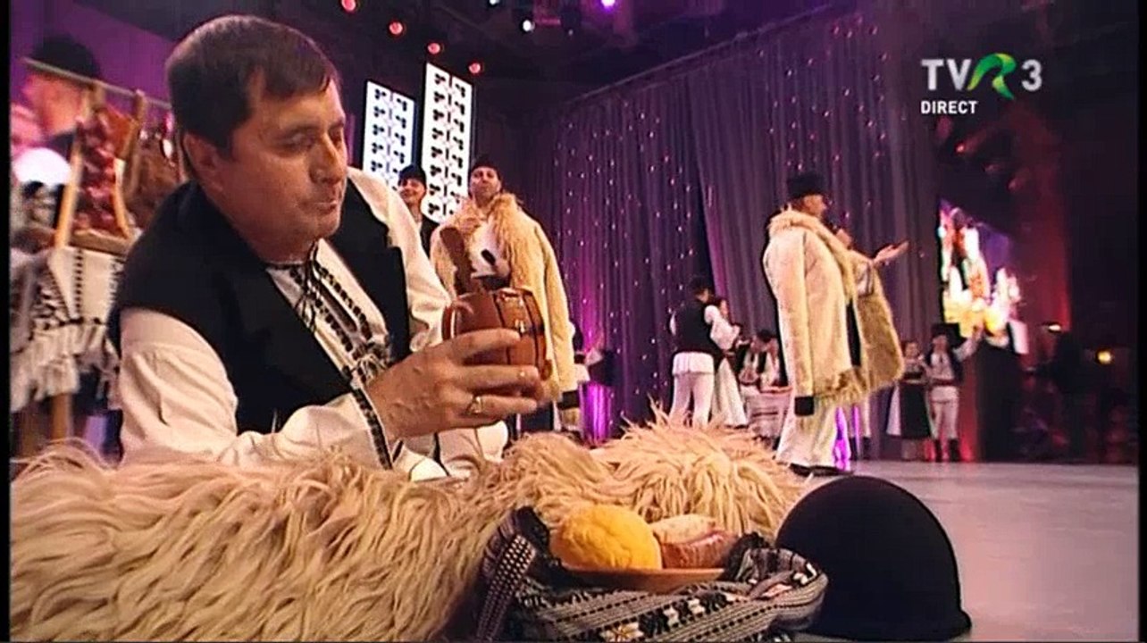 Daniel Rosalim - Sus la Jina, sus la munte (Festivalul Ioan Macrea - Sibiu - 28.11.2017)