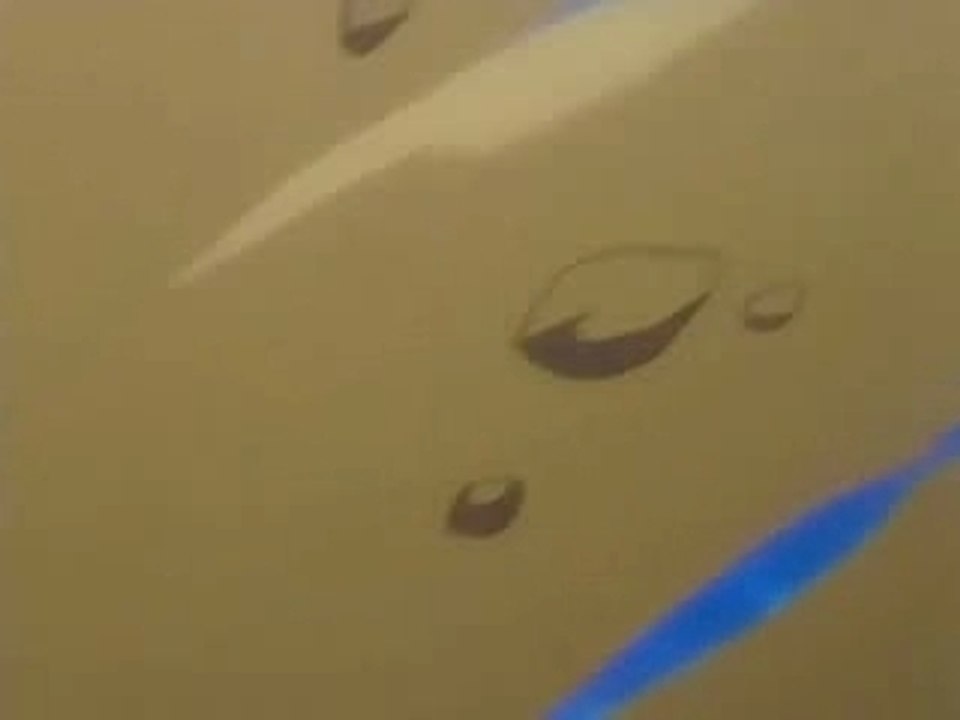 Kurosaki Ichigo vs Kuchiki Byakuya