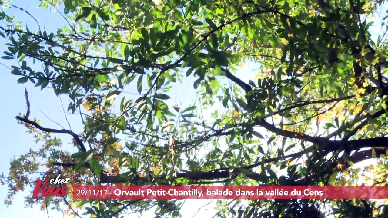 Chez vous dans le quartier du Petit Chantilly à Orvault #3