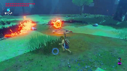 【ゼルダの伝説 BREATH OF THE WILD】 剣の試練初挑戦!! エキスパンションパス第1弾〜試練の覇者〜 実況 Part70