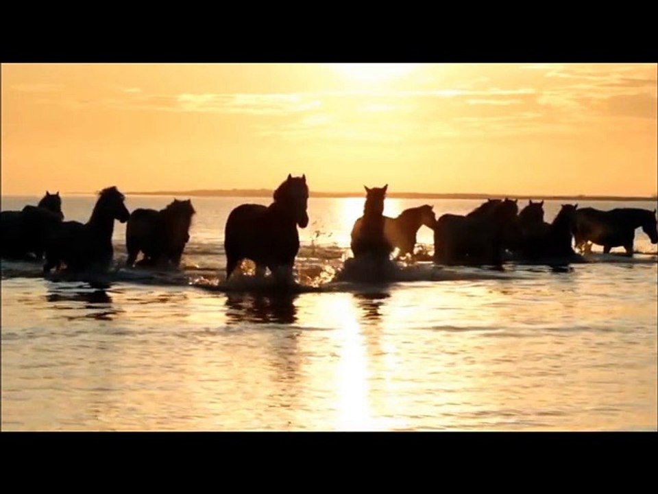 VIDEO SOLO IMPRO LOSHUERTOS