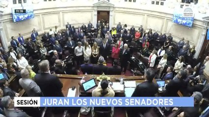 Cristina Fernández y 22 senadores argentinos juran cargos