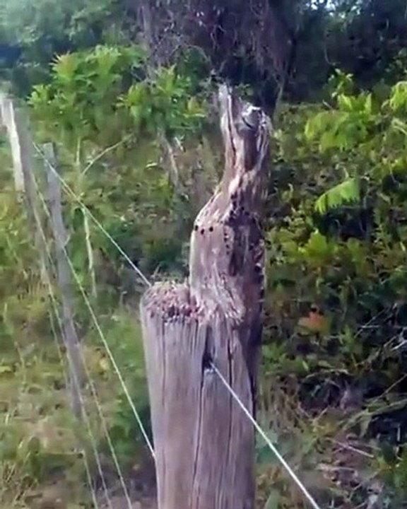 Allez vous trouver ou il se cache?