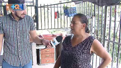 +QN 29 Noviembre 2017